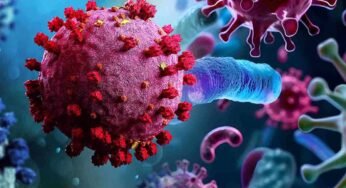Covid mischiato all’influenza: il virus misterioso è sempre più letale